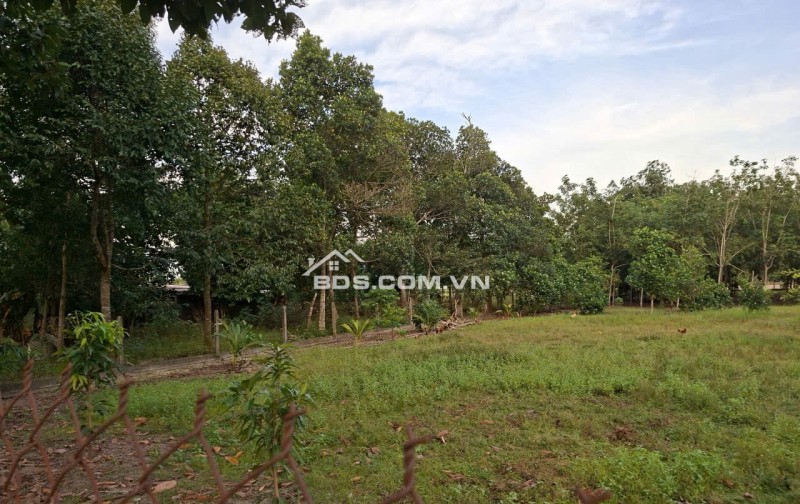 Bán rất gấp lô đất liền kề tại mặt tiền đường Phú Thuận- xã An Nhơn Tây - thành phố Hồ Chí Minh